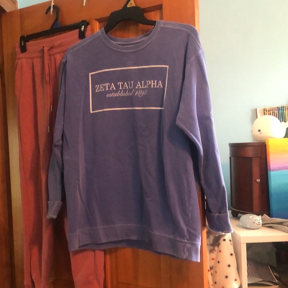 ZTA Sweatshirt - Picture 4 of 4